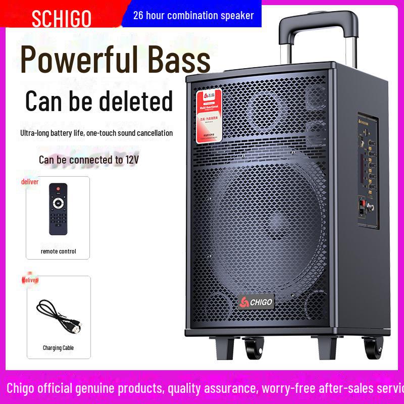 Chigo High-Power Outdoor Bluetooth Trolley Speaker for Music & Karaoke