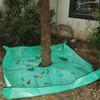 Garden Cleanup Accessory Landscape Tarp for Trimming, Pruning with Hole & 4 Leaf Corner Buckles, Shrub Trimmings Catcher Collection, Yard Durable Tree