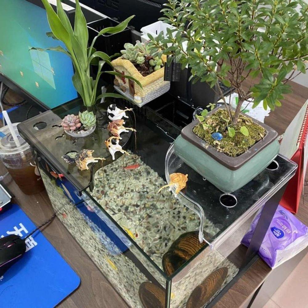 Punch-free Corner Fish Tank Shelf Triangle Coral Bracket Fish Tank Corner Storage Rack Desk