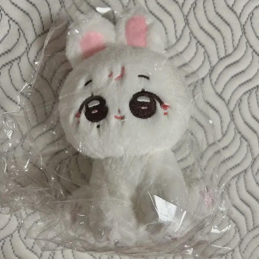 

Zongkumi, The Doll Chosen By Seventeen, Has Not Been Opened