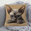 1pc Sphinx Kitten Pillowcase - Soft And Comfortable Polyester Short Plush Fabric, Single-Sided Printed, 44.96 X 44.96 Cm, Machine Washable, Zipper Clo
