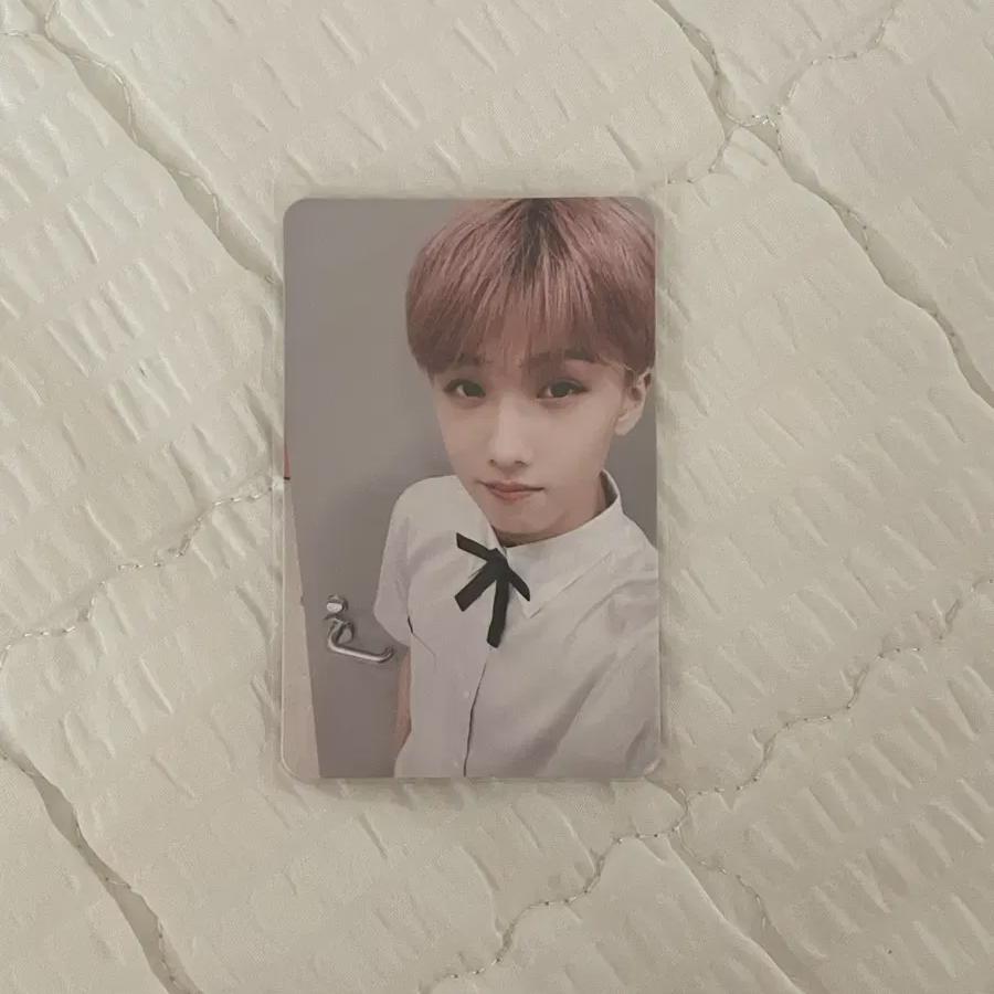 

Бум Джисон Фока Хапкидоох Ncity Dream Джисон Фока