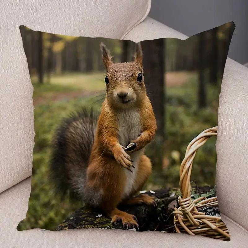 Cute Squirrel Cushion Cover Pillowcase Pillow Covers Home Decor Pet Animal Pillows Case Super Soft Polyester Pillows Covers