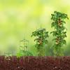 6 Packs Tomato Cages for Garden 48" Tomato Plant Stakes Support Cage