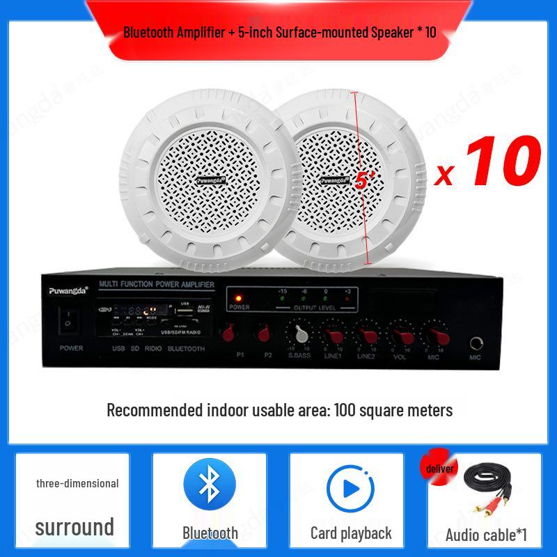 Wireless Indoor Ceiling Speaker with Wall-Mountable Hanging System