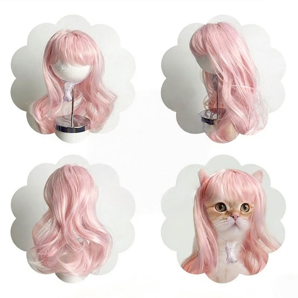 Verstellbare Passform Haustier Bob Perücke Bequem zu tragen Katze Falsches Haar Kätzchen Gewelltes Haar Party Spiel Kostüm