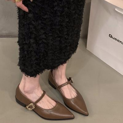 Mode 2024 Groot Nieuw Zomer Casual Mary Jane Flats Schoenen Vrouwen Elegant Puntige Neus Kantoor Dame Comfortabel Loop Schoeisel
