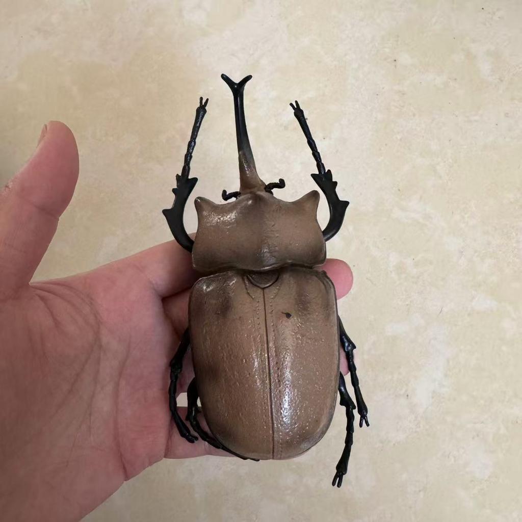 Biographical Analysis of Deer Antler Beetle and Claw Shaped Insect Beetle Gacha Simulation Animal Movable Joints Figure Toys