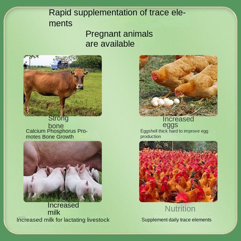 Calcium powder Pig, cow, sheep, chicken, duck and goose produce egg and milk promoting growth nutrition powd 500g