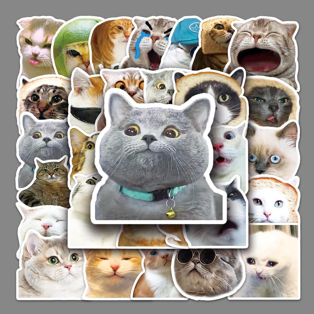 Waterproof Cat Expressions Sticker Set: Creative DIY for Notebooks, Phone Cases, Cups, and More!