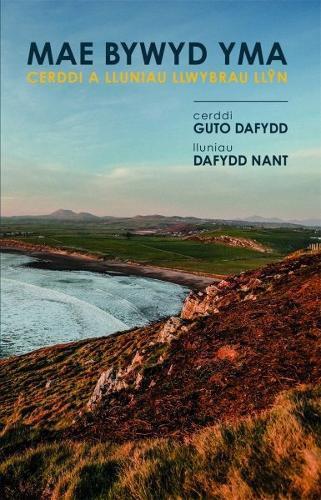 Mae Bywyd Yma by Guto Dafydd Paperback Book 9781845279028