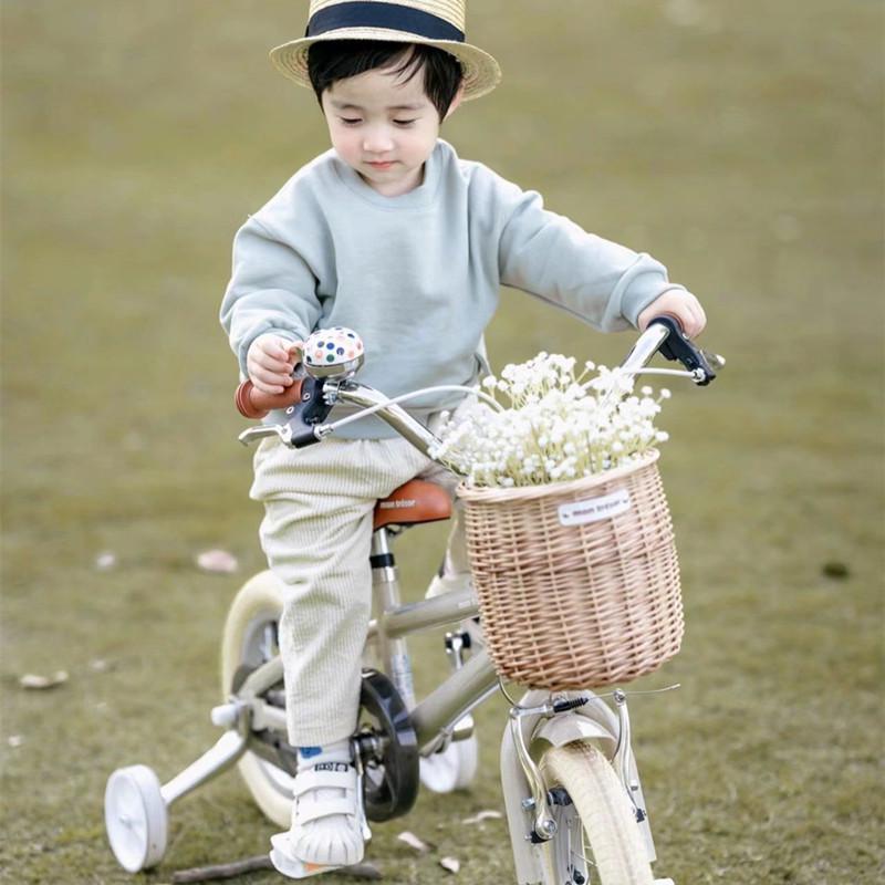 Retro Pastoral Rattan Bicycle & Scooter Basket for Kids