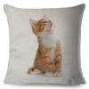 Cute Cat Pillowcase Decor Lovely Pet Animal Print Cojines Cushion Cover Polyester Pillow Case for Home Sofa Children Room 45x45