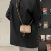 Golden Velvet New Chain Women's Autumn Fashion Double S Embroidery Thread Single Shoulder Crossbody Small Square Women's Bag