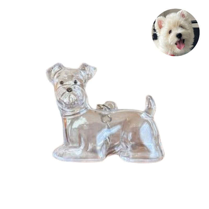 

Милый брелок для хранения шерсти собаки, прозрачная капсула для хранения шерсти питомца, подвеска-мешочек для сувенирной коллекции, подарок, мемориальное украшение A4