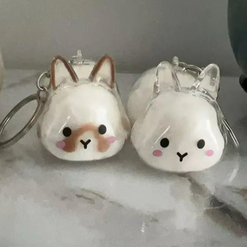 Keyrings Memorial Rabbit Hair Collector Transparent Rabbit Hair Storage Box  Backpack