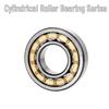 Guanshi NU2212EM Cylindrical Roller Bearing