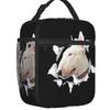 Chien Bull Terrier Drôle Boîtes à Déjeuner Réutilisables Femmes Imperméable Animal Thermique Refroidisseur Aliment Isolé Sac à Lunch Enfants École Enfants