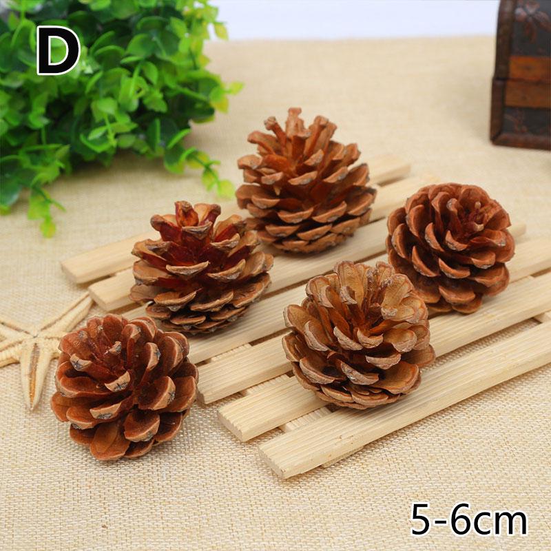 Mini vera pigna naturale pigne decorative pigna pallina albero di Natale decorazioni per la casa 5 pezzi / borsa  15