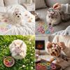No Hurt High Elastic Pet Hair Bands Anti-Oxidant Colorful Cat Grooming Elastics Soft Thin Dog Braiding Ties Long Haired Pets