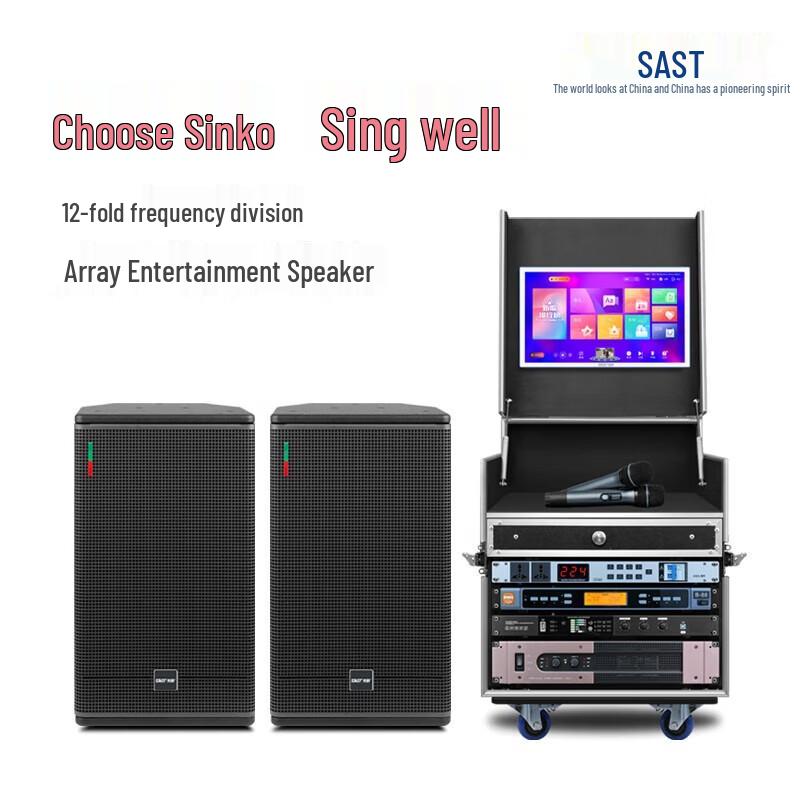 

SAST All-in-One Home KTV Karaoke System with Flight Case and BBS Microphones