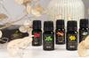 Essential Oils Essential Oil Set for Humidifier Diffuser 10X10Ml