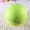 9.5' Big Giant Pet Dog Puppy Tennis Ball Thrower Chucker Launcher Play Toy *AU