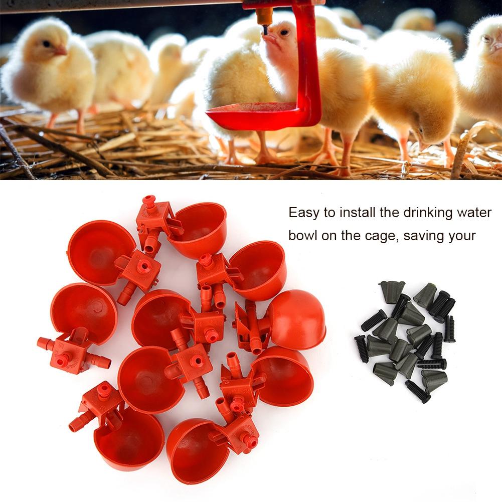 10 Pieces Chicken Coop Poultry Water Drinker in Water Cup Drinking Water Utensil