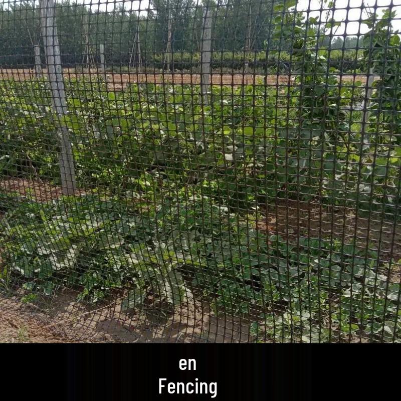 Tuinafsluiting & Net: Plastic Geogrid, Aquacultuur, Kip/Eend Isolatie, Balkonhek, Anti-Kat/Muis