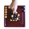 GIGAMIC PYLOS Authorized Board Game Table Game Educational Toy Toy Children Brain Training France [Japan Distributor]