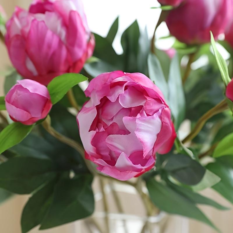 5 Stück Künstliche Pfingstrose mit je 2 Blütenköpfen, Heimhochzeit Weiche florale Fotorequisiten Ornamente Fortgeschrittener Sinn Simulations-Pfingstrosen-Bouquet