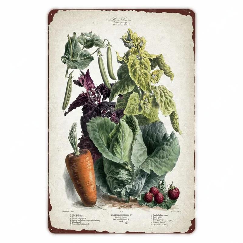 Retro Vegetable Plants Poster Vintage Fruits Metal Tin Sign Cauliflower Wall Art Sign Garden Kitchen Farm Flowers Plate Decor