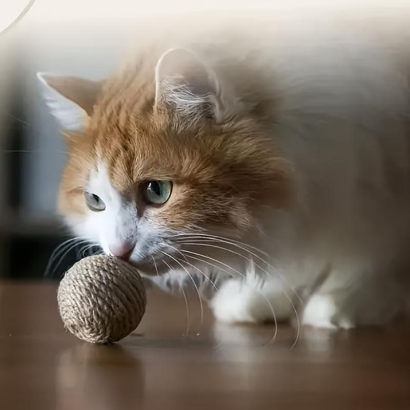 3pcs natural hemp ball box and chasing toy indoor cat products handmade cat ball, pet hemp rope ba