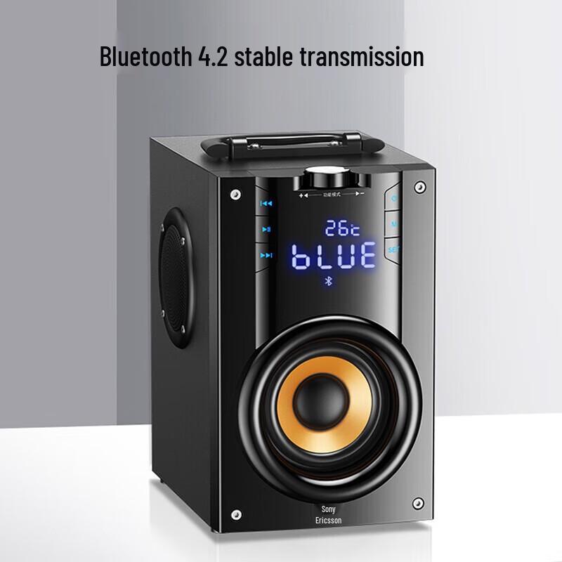 Soaiy SA-Q35 Portable Outdoor Karaoke Speaker