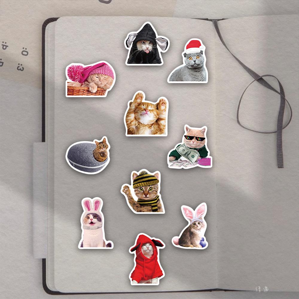50 Cat Stickers Set for DIY Decoration: Water Bottles, Phone Cases, Notebooks, Desktops