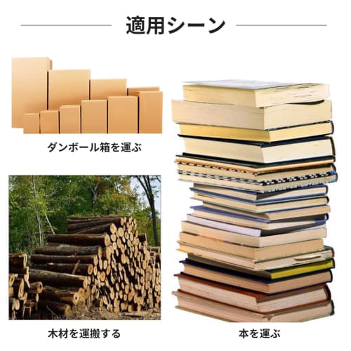 Carrying strap for moving furniture, cardboard furniture boxes, and hand trucks