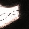 15X3M/15X5M Nylon Garden Bird Net Crops Fruit Tree Vegetables Protection Anti Bird Catcher Gardening Pest Control High Quality