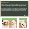 Pet Dye Dyeing Paste Dog Long Lasting Dyeing Paste Poodle Bichon Colored Stain Remover Powder 100ML