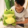 20/30CM Kawaii Cartoon Simulation Anime Frog Stuffed Animal Plush Toy Children's Lovely Frog Handmade Doll Festival Gift