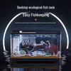 Transparent Plastic Goldfish Aquarium: Eco-Friendly Small/Medium Fish Tank for Living Room or Balcony Landscaping