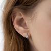 (Silver 925) Ron Radiance Hoop Earrings EC3173