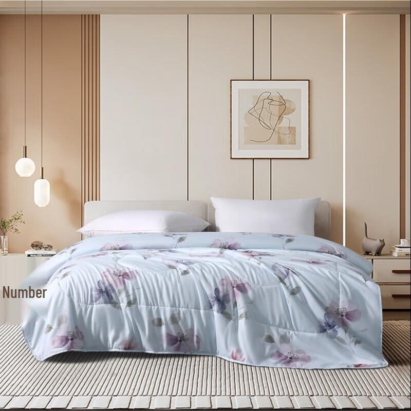 

Boyang Qinya Antibacterial All-Season Fiber Quilt