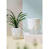 Lazy Hydroponic Flower Pot Automatic Water-Absorbing Flowerpot Transparent Double Layer Plastic Self Watering Planter Office