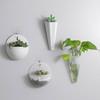 1 PCS Wall Decorative Plastic Hanging Planters Pot Wall Mounted Flower Planter Garden Indoor Wall Decor Durable for Plants