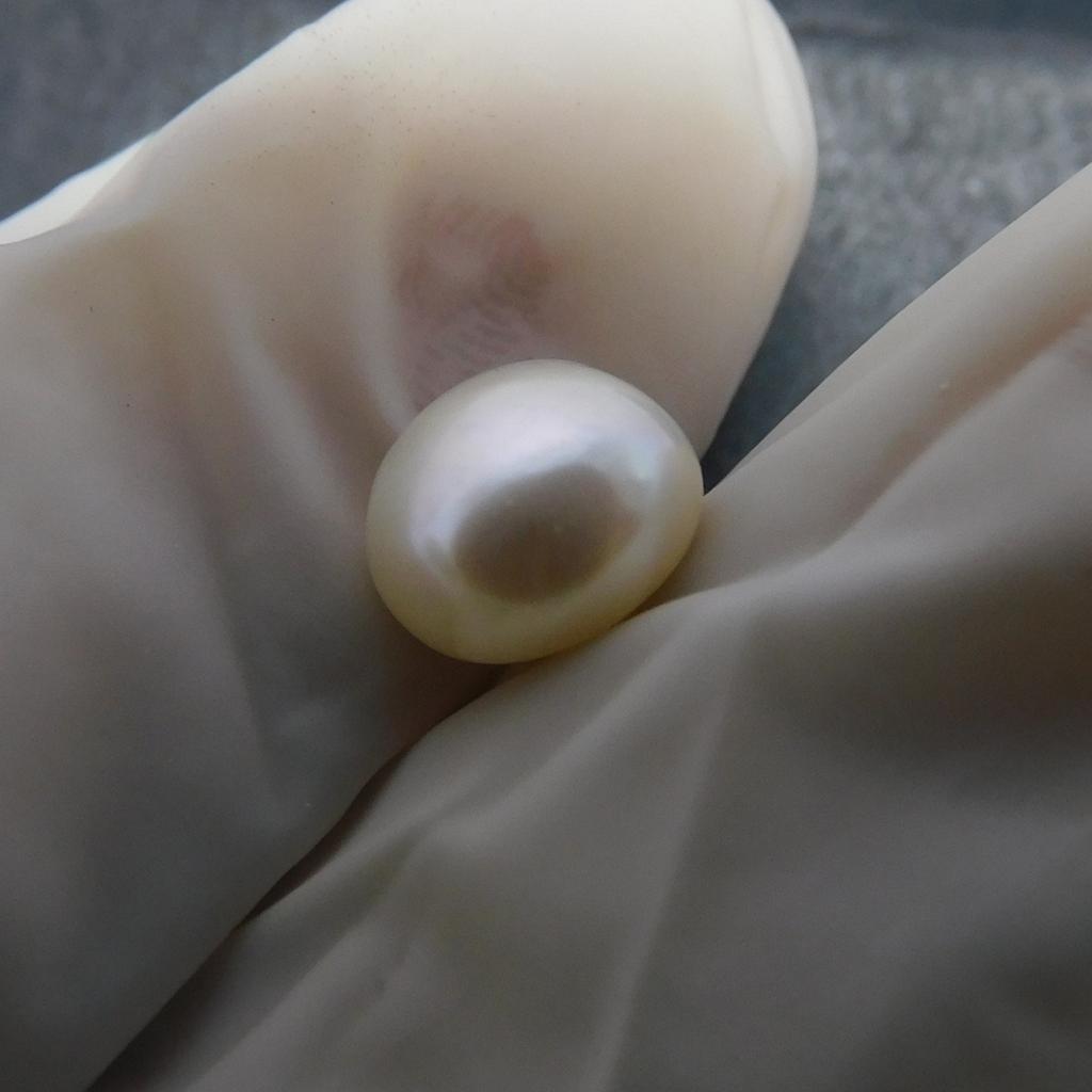 2.25 Ct White Mabe Natural Pearl Loose Gem Sea CERTIFIED Excellent Round Cut p-3014-h