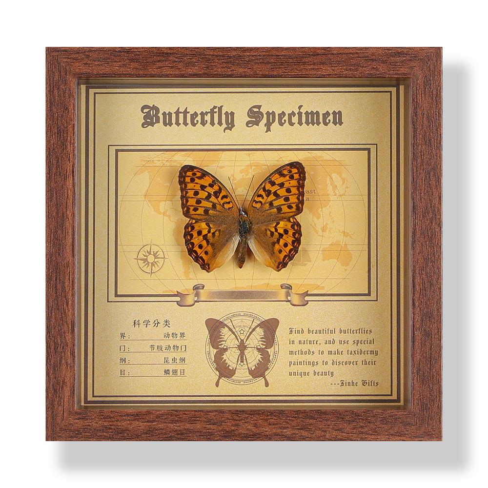 Real butterfly specimen photo frame, decorative painting, 3D ornament, handmade DIY, birthday gift, insect specimen
