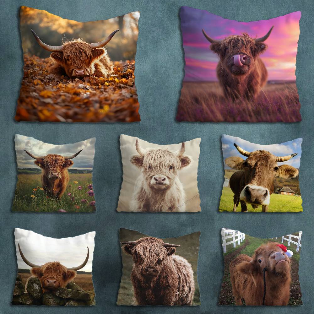 Cute Small Highland Cow Various Sizes Square Pillow Case For Car Home Bedchamber Decor Birthday Gift