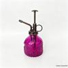 Retro Embossed Glass Spray Bottle – Small Pressure Watering Can for Garden & Home Flowers