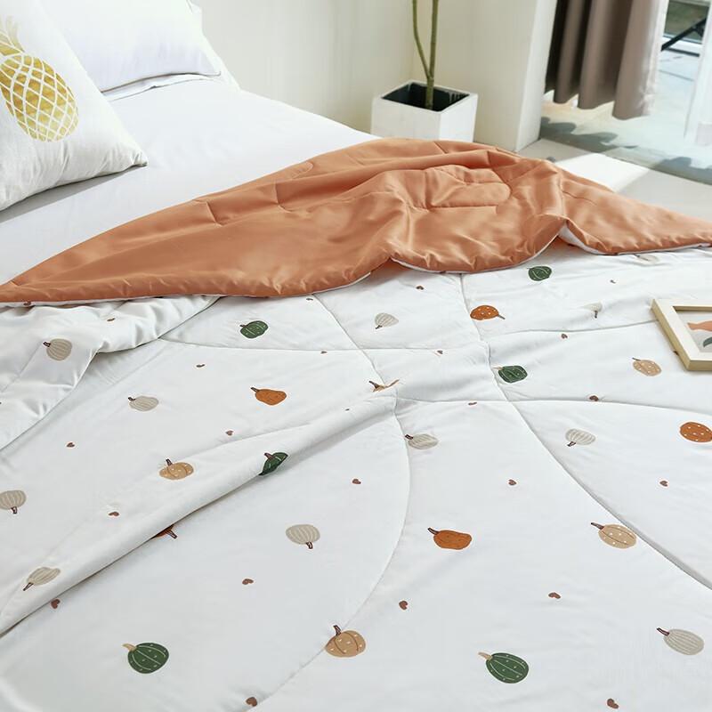Jie Li Ya Breathable Summer Fiber Quilt
