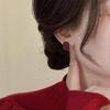 2024 Trendy Luxury Tassel Earrings – Simple, Versatile Bestseller for Women